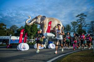 BIB: 
                            <button type="button" onclick="openModal(26541518)" class="btn btn-primary btn-sm float-right btn-popup" data-toggle="modal" data-target=".modal-high-quality">
                        <i class="fas fa-shopping-cart"></i> Add to Cart
                    </button>
                                            <button type="button" onclick="isThisMe(26541518, true)" class="btn btn-success btn-sm float-right btn-popup btn-isme hidden" data-toggle="tooltip" data-placement="bottom" title="นี่คือรูปของคุณใช่ไหม คลิกที่นี่เพื่อเอาเข้าอัลบั้ม">
                        <i class="fas fa-plus"></i> Add to album
                    </button>
                    <button type="button" onclick="isThisMe(26541518, false)" class="btn btn-warning btn-sm float-right btn-popup btn-isnotme hidden">
                        <i class="fas fa-ban"></i> Remove from album
                    </button>